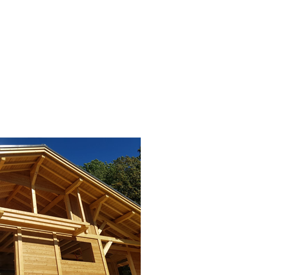 Construction de chalets neufs