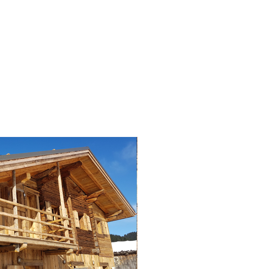 Construction de chalets neufs vieux bois