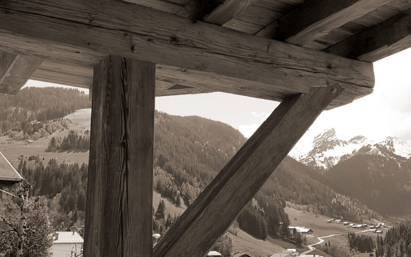 20CHALET PRESTIGE ARECHES SEPIA